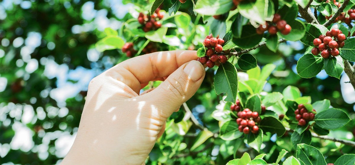 vainuio's tweet image. How to find actionable insights about your target prospects #salessignals #B2Bsales bit.ly/2nAMvdV