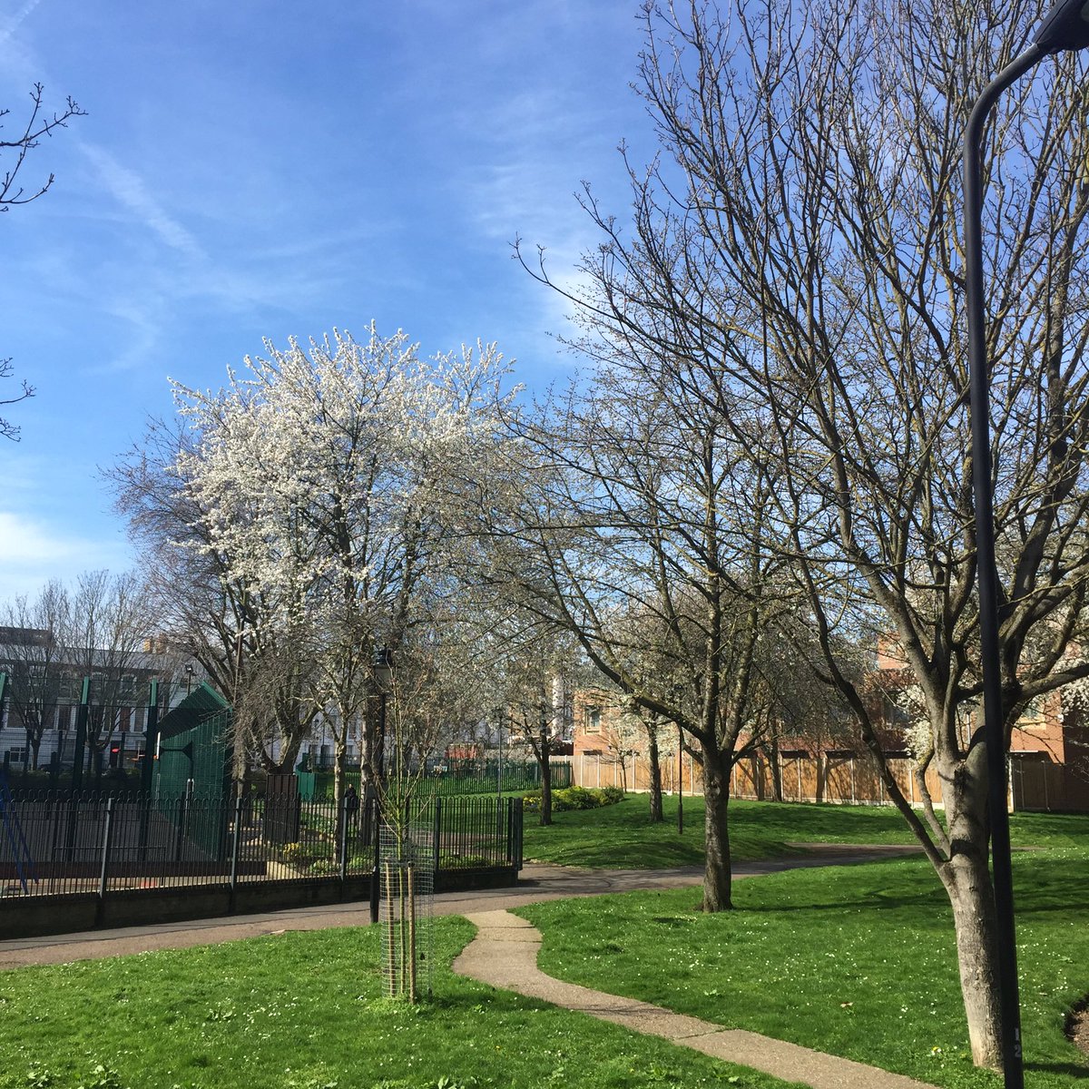 Haverstock_Lab's tweet photo. Beautiful day to be out canvassing with @CamdenLabour in Gospel Oak https://t.co/nHymFKv5jR