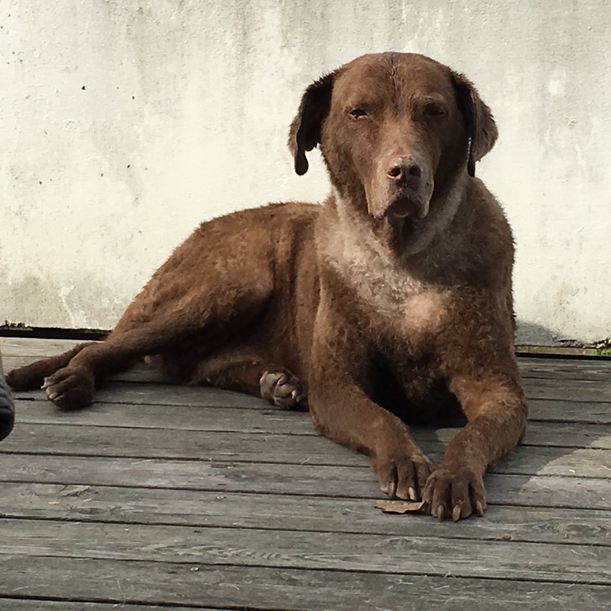 JahrenLabLab's tweet image. BATH DAY