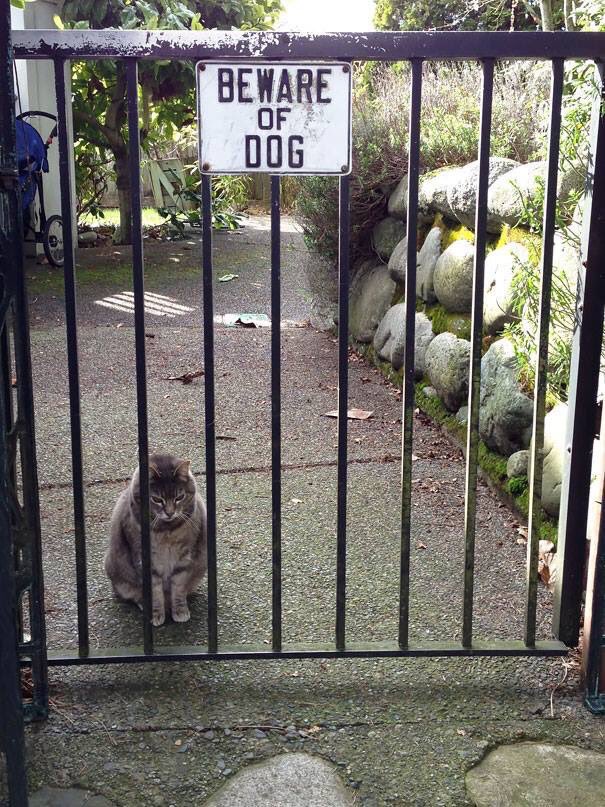 "Beware of dog"