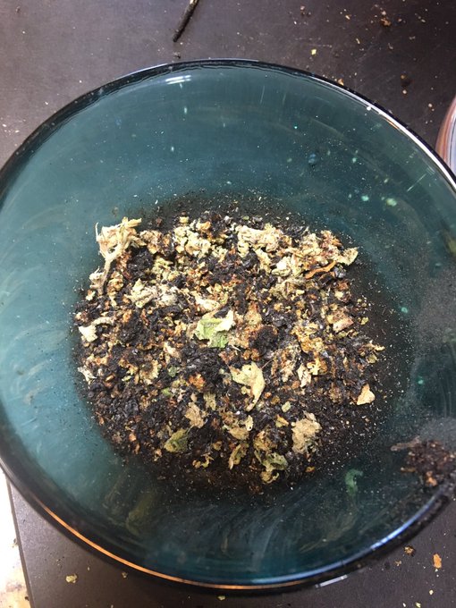 He says it's his "ash tray". How does this make you feel? 🙈 https://t.co/5uKeoGsIc7