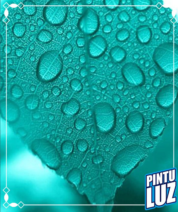 PintuLuz's tweet photo. Te damos todas las riquezas naturales en nuestro tono #Turquesa un color sencillamente especial. #Pintuluz https://t.co/lNVyYUj1BN