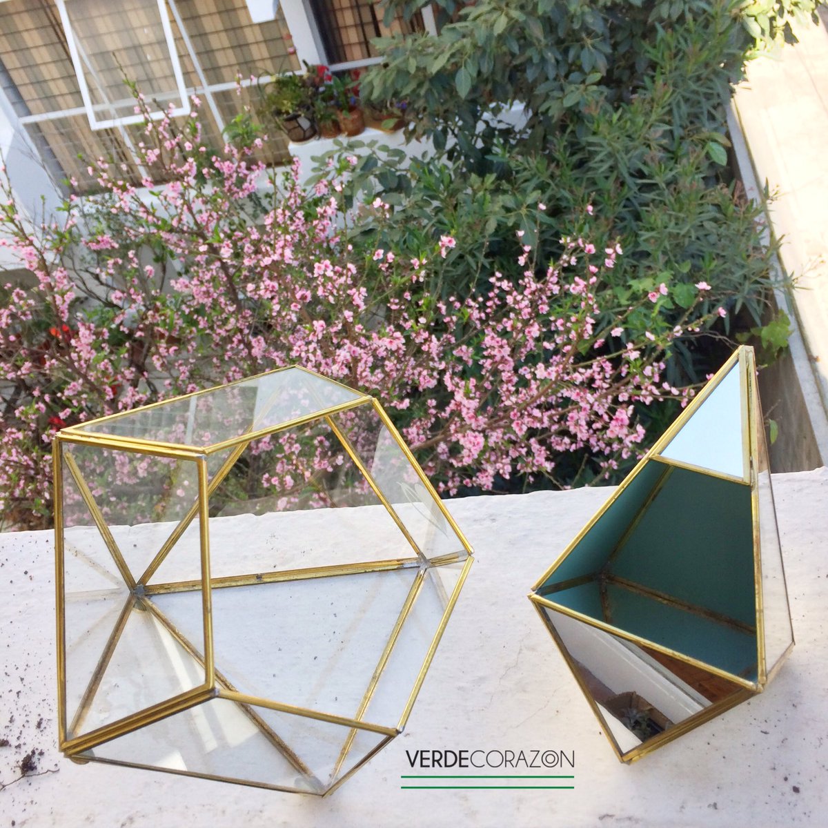 VerdeCorazonMX's tweet photo. Iniciamos ya con nuestro taller sabatino de #terrarios. 🌵Estén atentos próximamente para más eventos. 
#RegalaVida #AdoptaPlantas 💚 https://t.co/TzoWb4Efi1