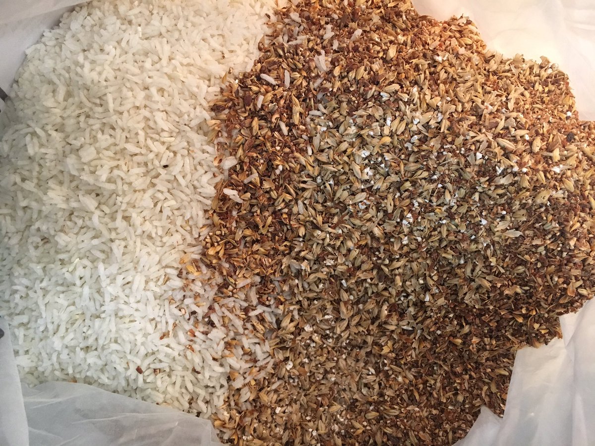 FBJbeer's tweet image. I'm putting some rice in the beer I'm making today.