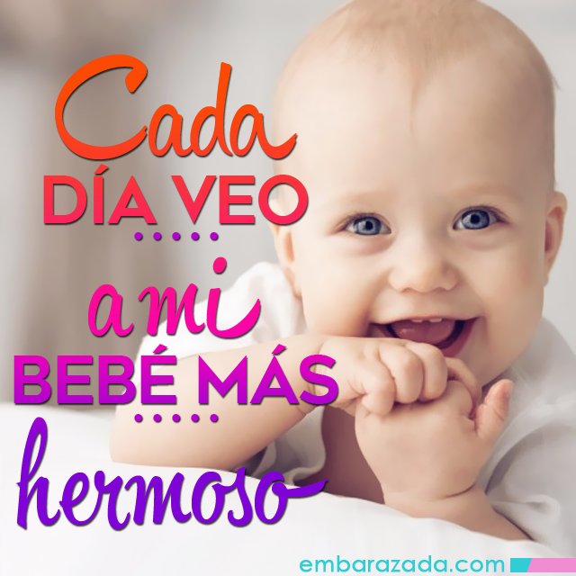 Embarazada.com tweet media