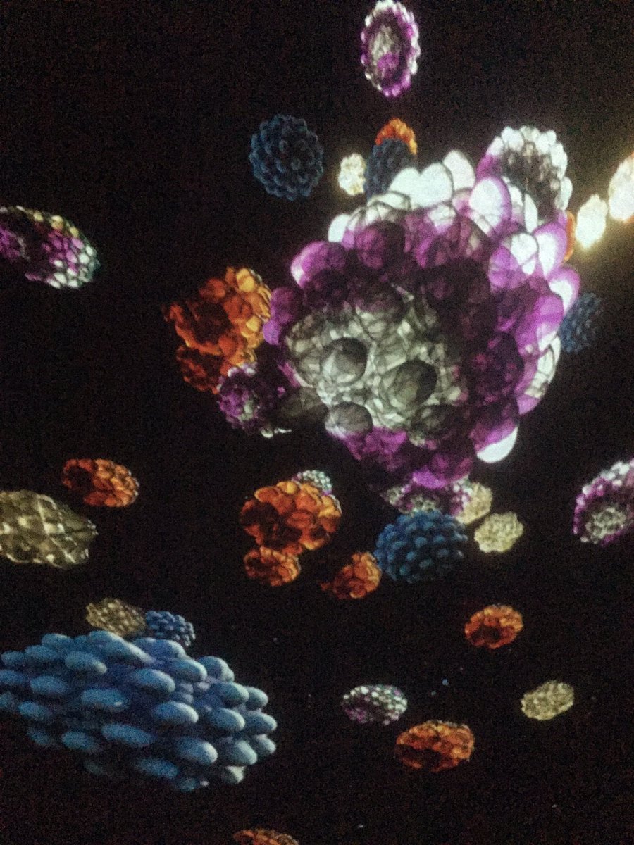 SpaceSoc's tweet image. Taking a break from the #SocietiesForum to learn about Viruses #becurious17