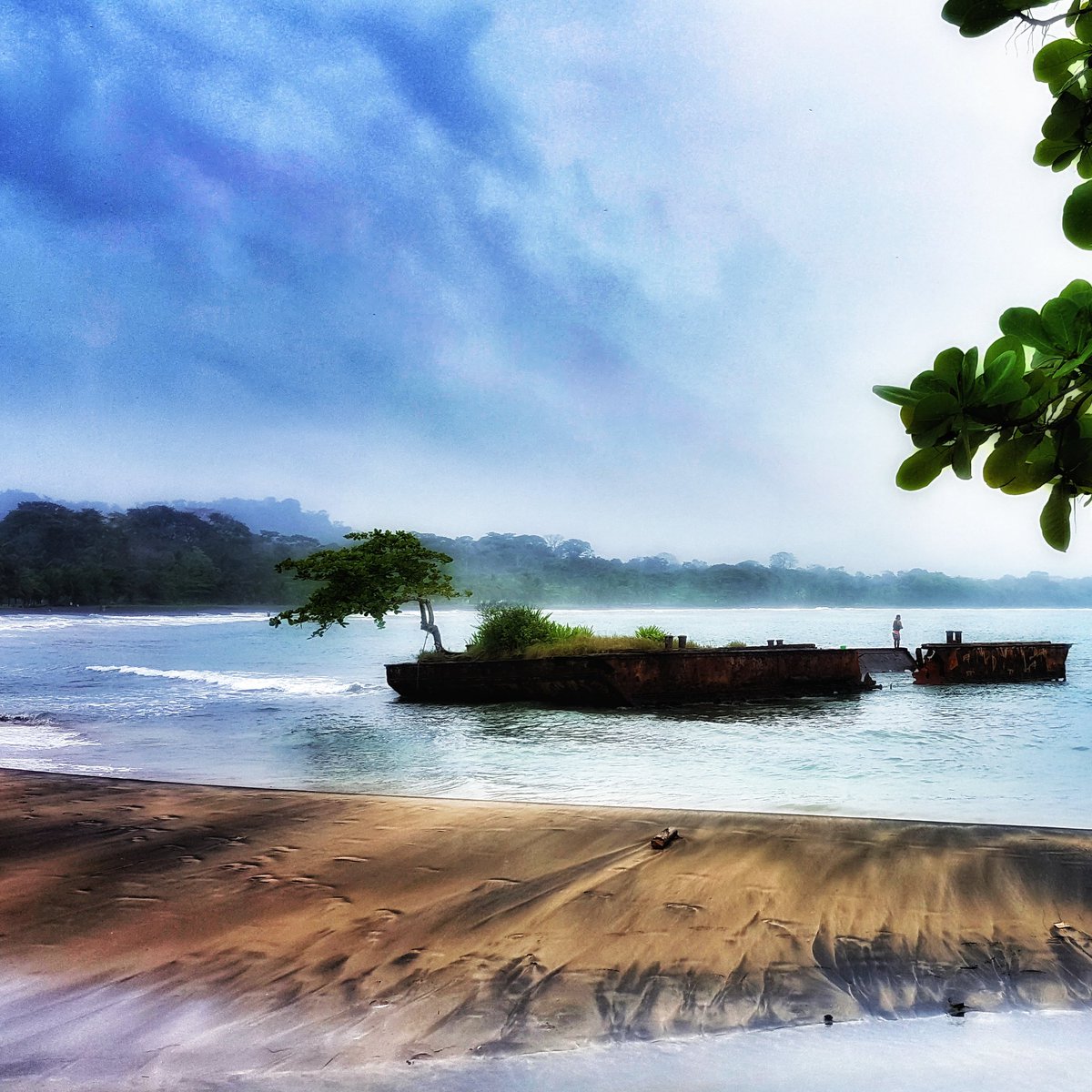 charlie350z's tweet photo. Una postal de Puerto Viejo en el Caribe de #CostaRica
#Travel #photography #photo #art #intothelens #destination #lifestyle #Nature https://t.co/jyU7h1UGkh