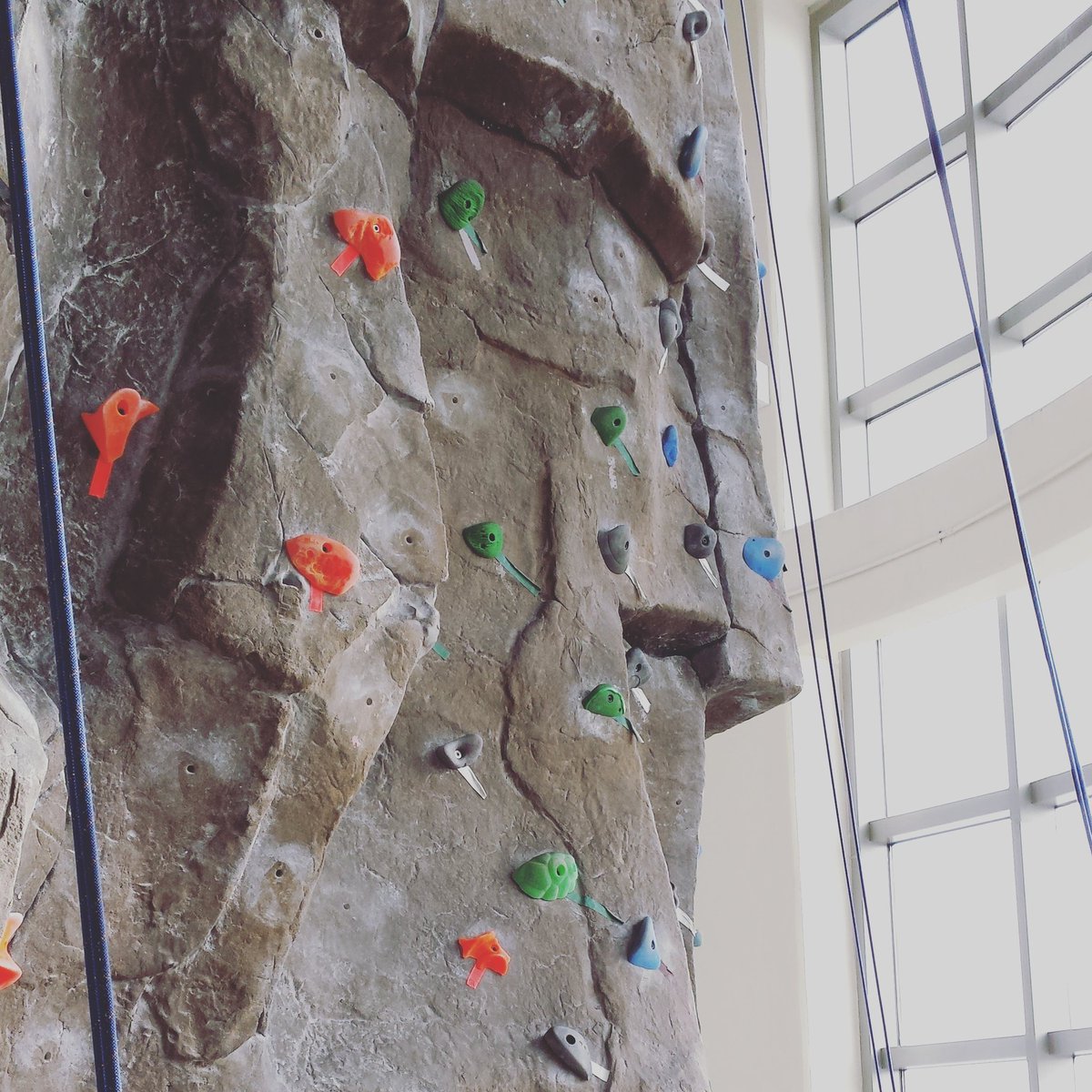 AmputeesUSA's tweet image. The rock wall is ready as we kick off our #LLED in #Orlando.