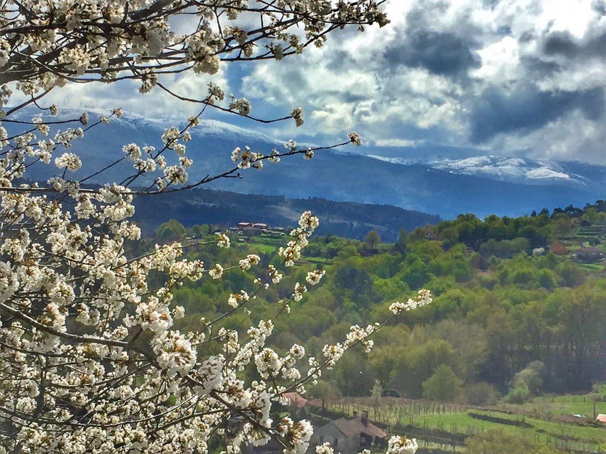 EscribanadTorgo's tweet photo. Sol, nieve, nubes, azul, verde, blanco ( sureste de pontevedra)...pasear por el PRG165 y después https://t.co/jduvZW4Yjk https://t.co/Mjr9SxVGMY