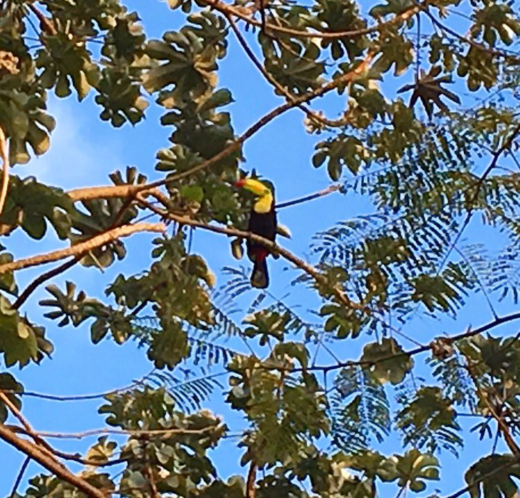 Frank Lopez Reyes tweet media