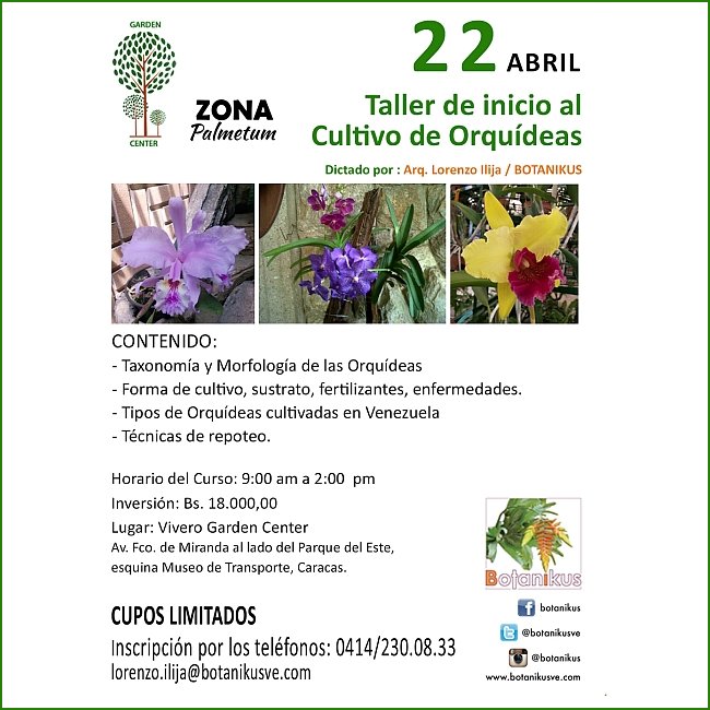 HFHealthyFoods's tweet photo. TALLER INICIO AL CULTIVO DE LAS ORQUIDEAS,… https://t.co/a0dW8UrDie https://t.co/wgfQTFCBda