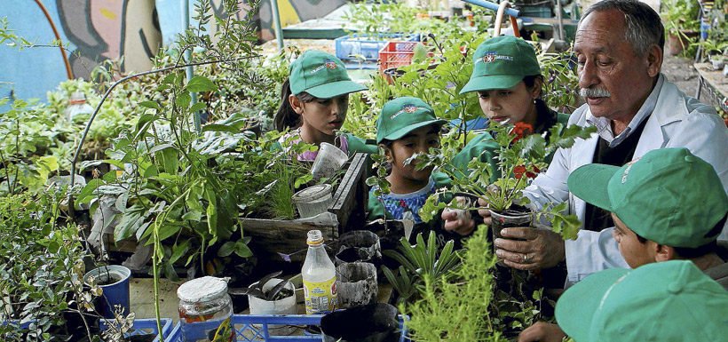 🌱 La cosecha de los colegios verdes tras integrar contenidos asociados al cuidado del ambiente a la malla curricular lt.cl/CNoN30afAdI