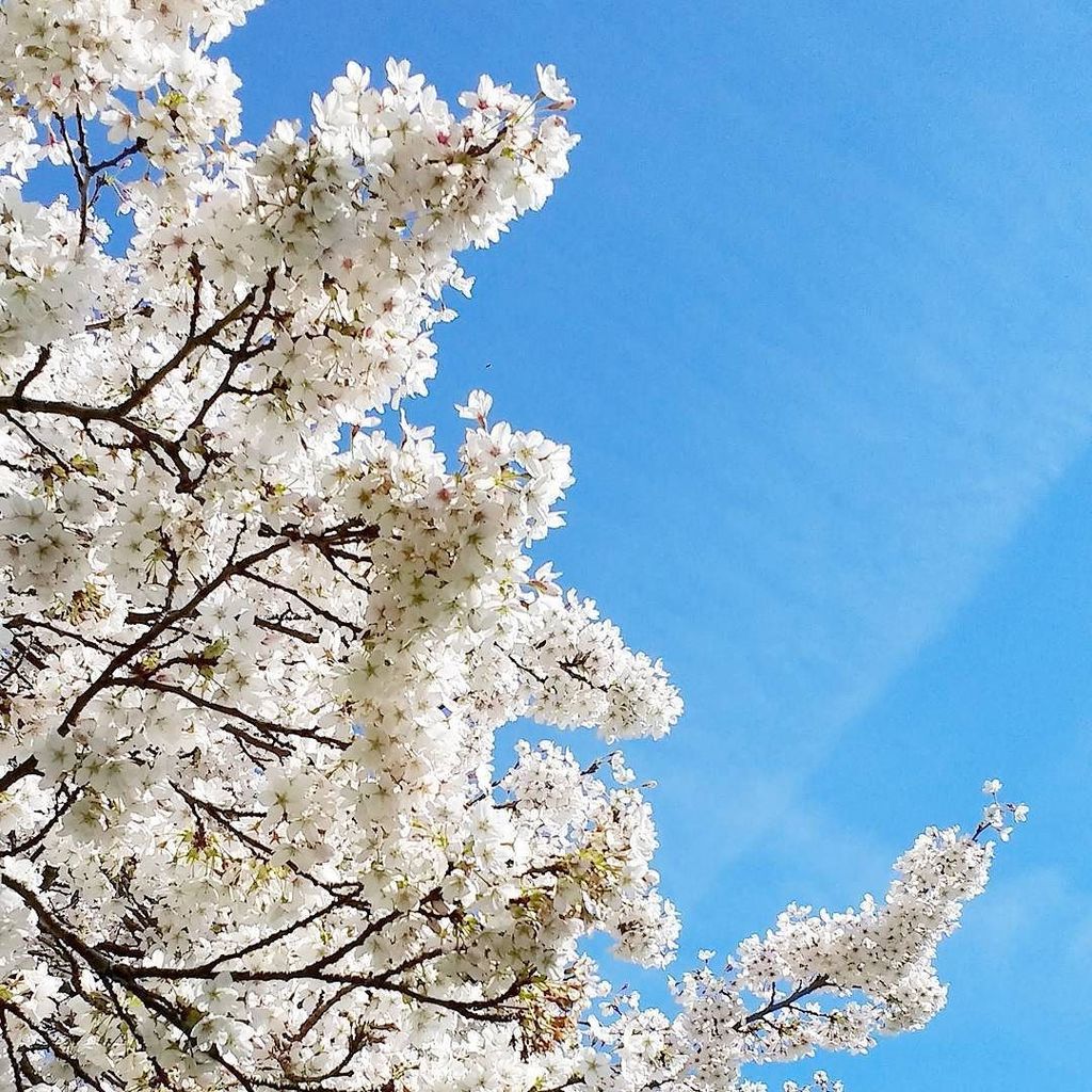 thisisbeckyuk's tweet photo. This weather is beautiful 👌 https://t.co/0lGSlrYaf3 https://t.co/lqO8tlnQFE