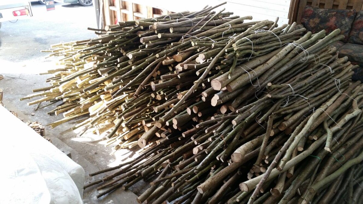 DENSinDacorum's tweet photo. Hazel coppicing today at Bunkers Park with @DacorumBC for fire-wood bundle making. #charity #volunteering #partnershipworking https://t.co/ABjVeCgb2l