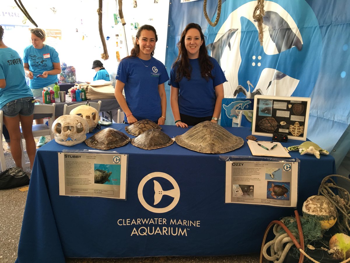 CMAquarium's tweet photo. Come check out our booth at #TurtleFest2017! @LoggerheadMC #TogetherWeCan https://t.co/0ivjXQguLt