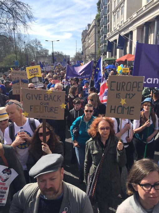 View image on Twitter