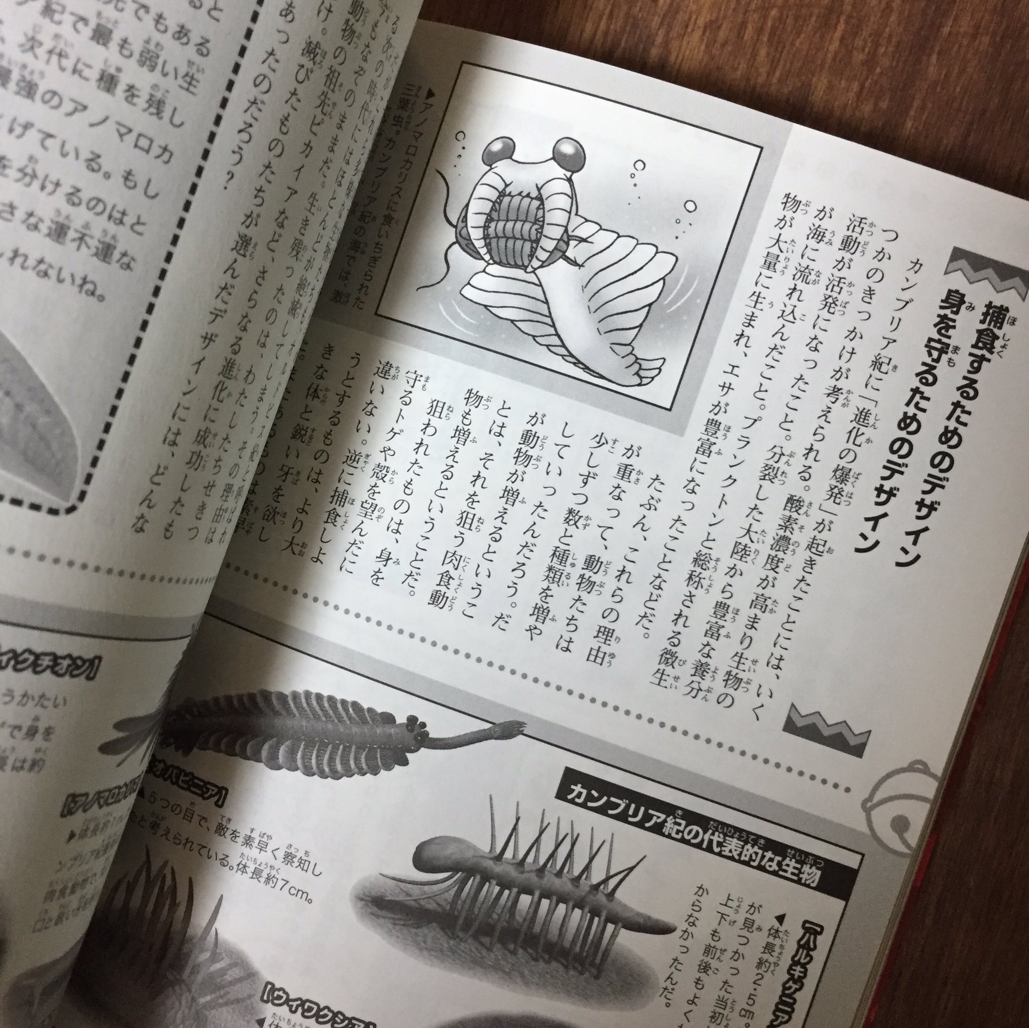 宮澤 余市 A Twitter この ドラえもん科学 ワールド シリーズ 最高過ぎる ありがちな学習マンガじゃなくて テーマごとに収録された藤子 F 不二雄の原作 最新の科学解説という ありそうでなかった構成 ドラえもんは笑えるsf入門書であり 上質な科学入門書でも