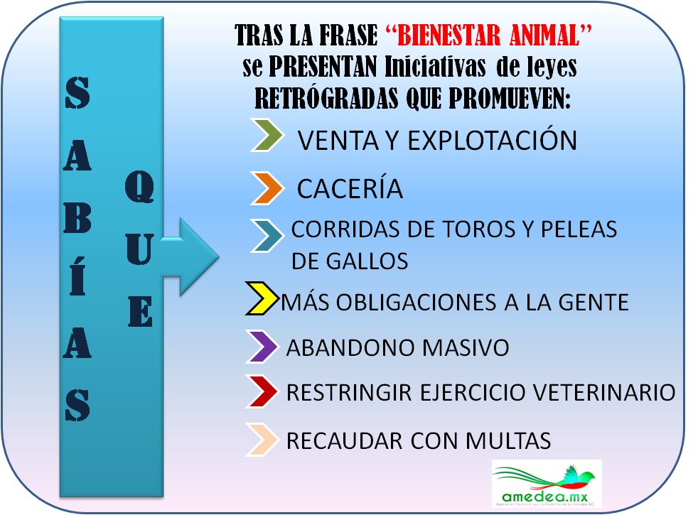 Gustavo Larios tweet media