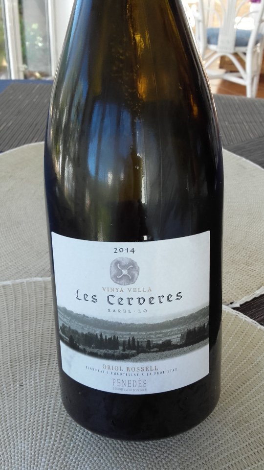 PuraEscriva's tweet photo. Excel·lent!!
#VINYAVELLA #LesCerveres #2014
#Xarel.lo
#ORIOLROSELL #PENEDÉS
Dinant a casa, amb Pep i @JosepSalort
De @calferu https://t.co/LkgLRajmPW