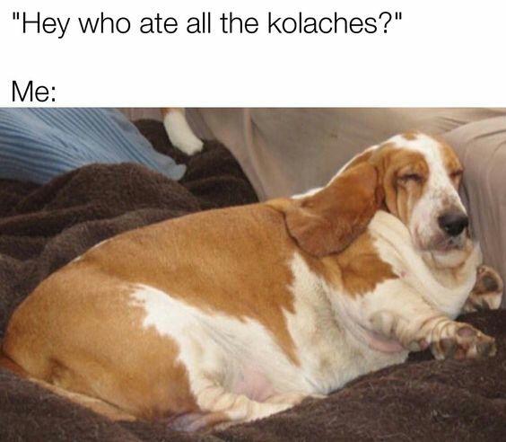 TexasHumor's tweet photo. 😭 I just can't help myself! https://t.co/qzWhLh6bLi