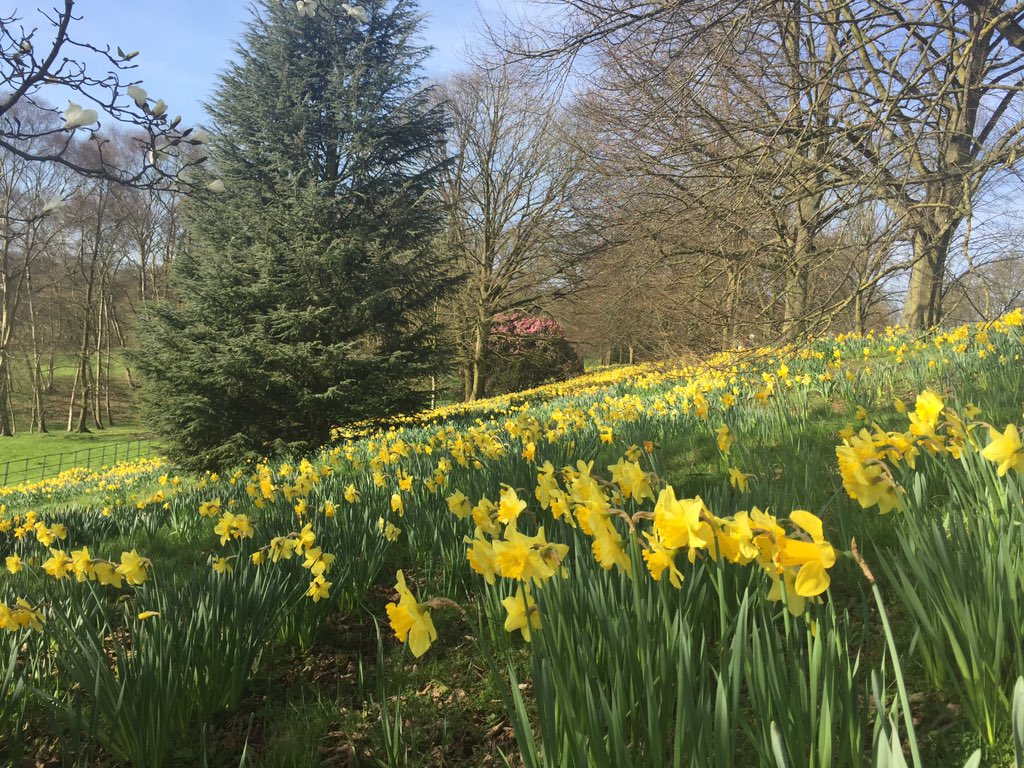 cjweddell's tweet photo. A beautiful morning @EHKenwood for #LandscapeForum walk around. https://t.co/mF15YCYfK3
