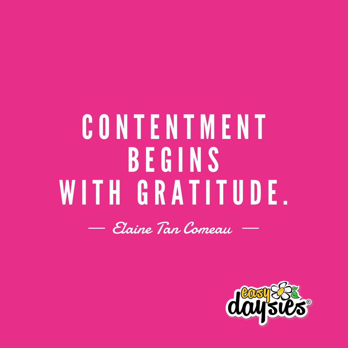 Contentment begins with gratitude. Wake up grateful. What are you grateful for today?