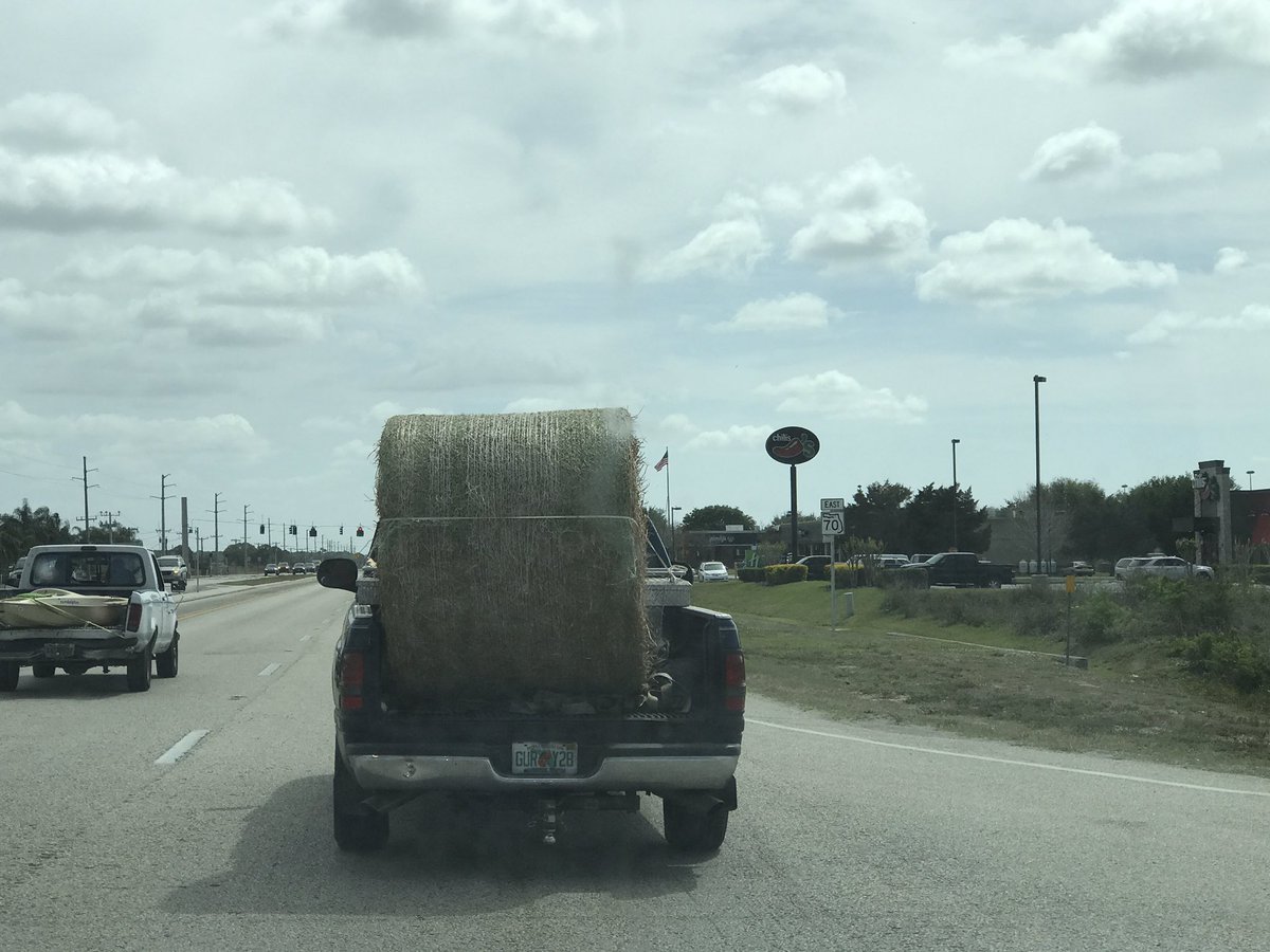 barbiedoll_eyw's tweet photo. #ThingsIDon'tSeeInKeyWest stay tuned I'm headed to @Walmart https://t.co/pM9XYJlrT0