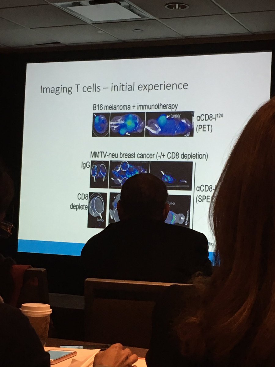 Imaging T cells to determine good candidates for melanoma anti-tumor therapy. #HOTMelanomaNYC