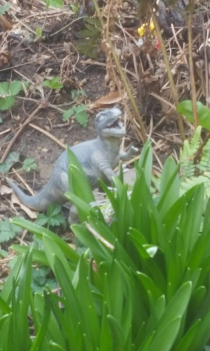 Fragers's tweet image. Frager's Garden Center has Moved! Please stop by our new home at 1317 E St. SE; adjacent to our Hardware &amp;amp; Paint Store at 1323 E St. SE!