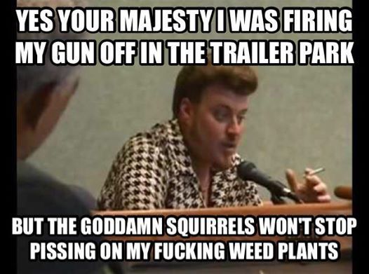 Damn squirrels! #stonerproblems