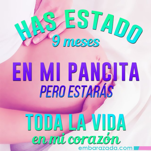 Embarazada.com tweet media