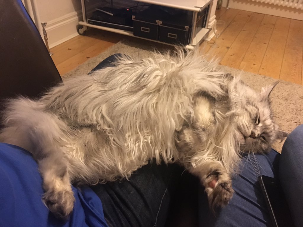 liuzzif's tweet image. oh no! Sending some hugs