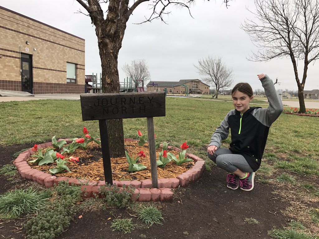 KEveland83's tweet image. @MarciRuxlow @allencmca @jbohnenblust28 #EESlearn