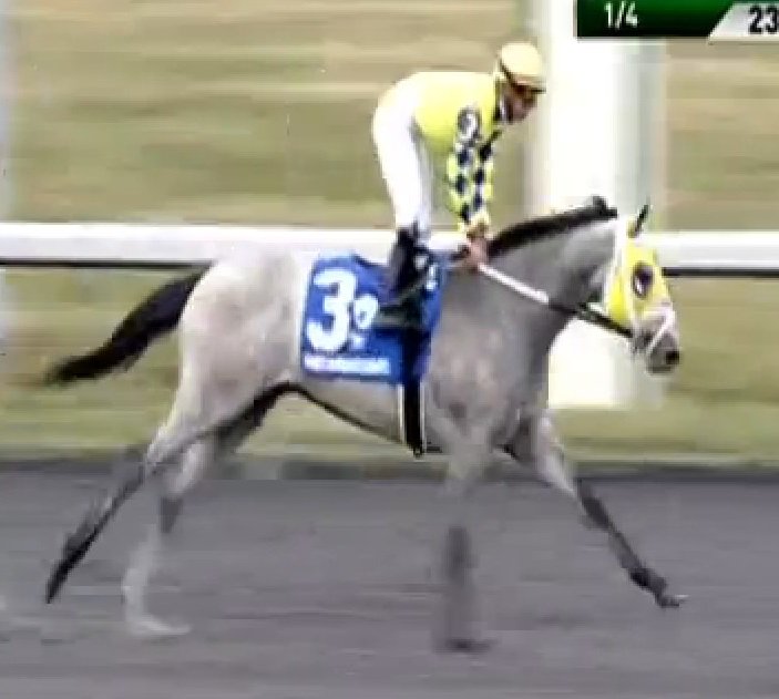 TwinSpires's tweet image. #FastandAccurate holds on in #Spiral (G3) @TurfwayPark under @Tyler_Gaff for @trainerMMaker to earn his 3rd straight victory