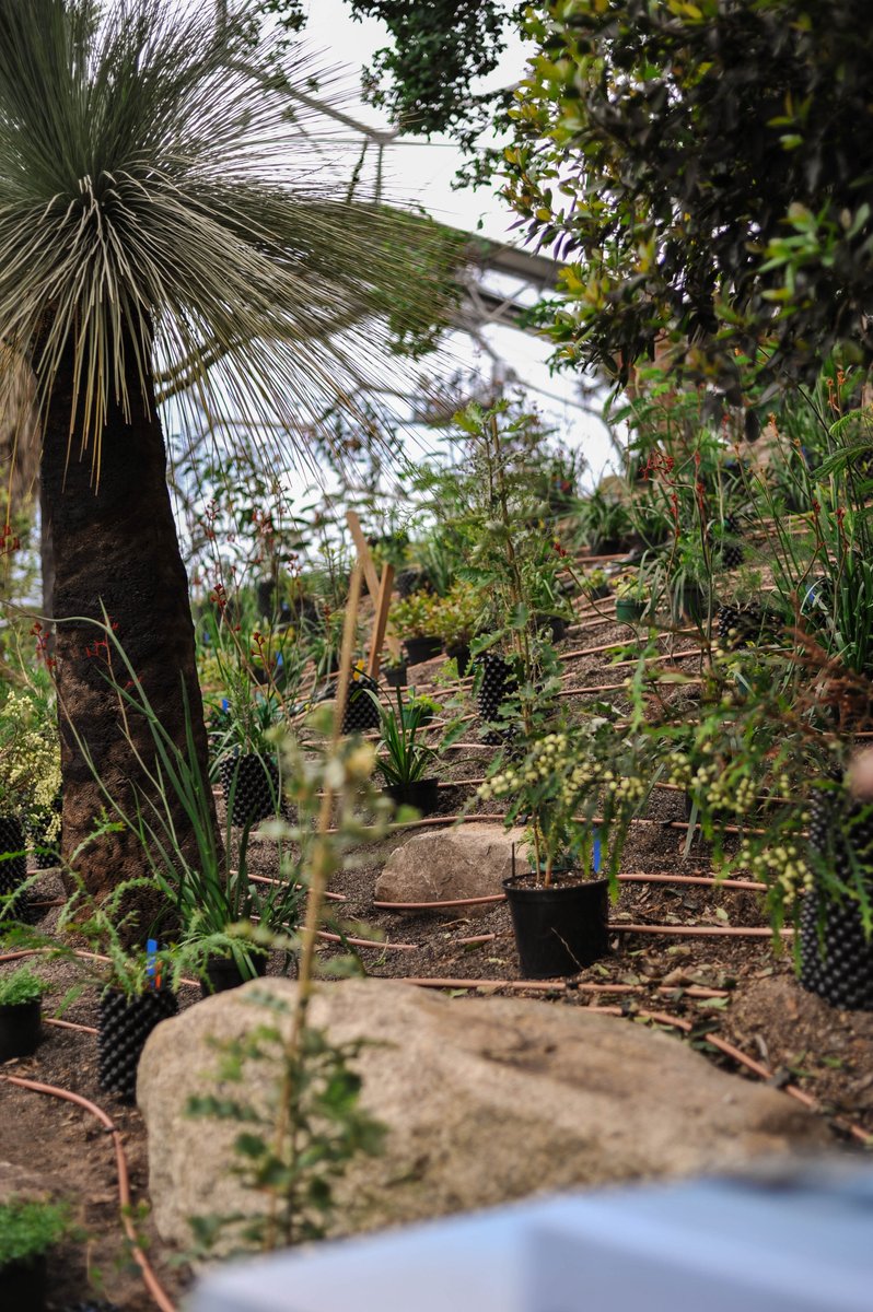 Chlo_CheckMyFlo's tweet photo. @edenproject loved my trip to you the other day!! I'll be back
👊🏼👊🏼👊🏼 https://t.co/6Uhk8hSZ1s