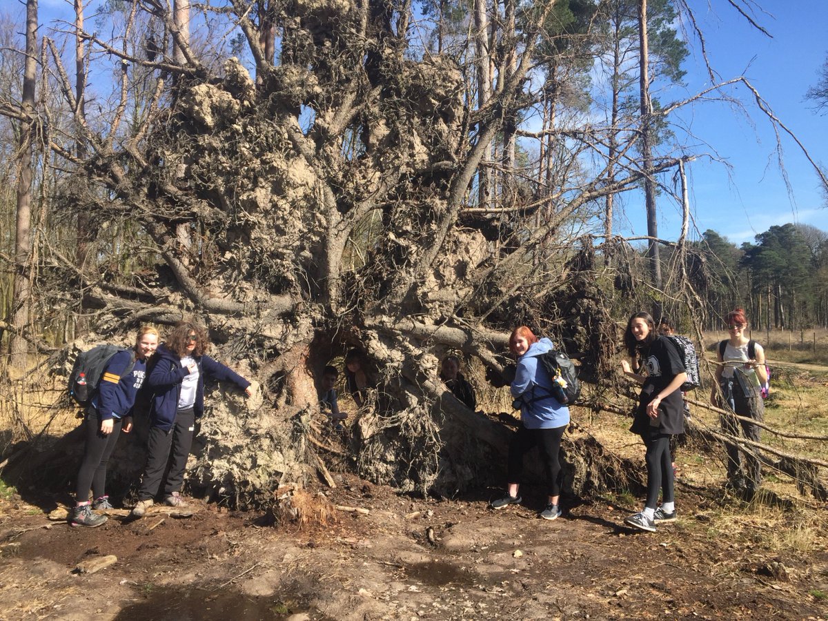 Crestwood_DfE's tweet photo. Perfect weather today for the year 10s Bronze practice day walk in the New Forest. #DukeOfEdinburgh #ExpeditionSection https://t.co/ichtd3sEsX