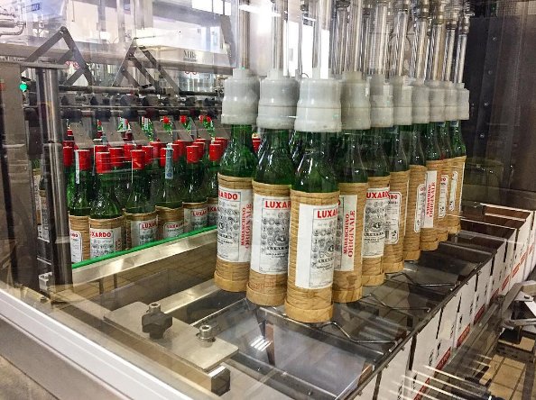 LUXARDOUSA's tweet image. Did you know it takes 4 long years to produce Luxardo Maraschino? We think it's worth the wait. 📷 by @andrearedi