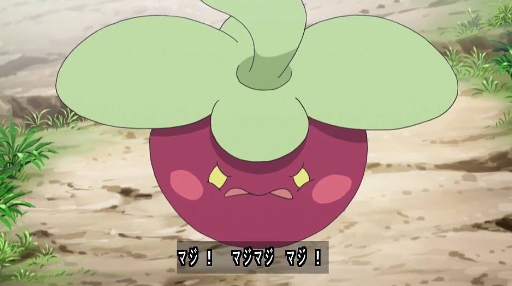 はぁたん Sur Twitter アマカジがアママイコに進化した W Pokemon ポケモン アニポケ Anipoke T Co Ssfqfzuxvw Twitter はぁたん Sur Twitter アマカジがアママイコに進化した W Pokemon ポケモン アニポケ Anipoke T Co Ssfqfzuxvw Twitter