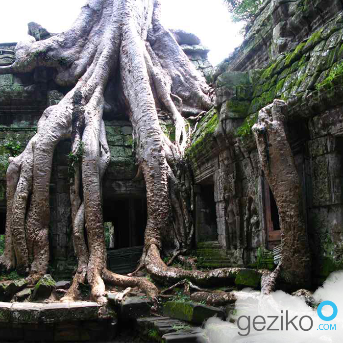 Geziko's tweet photo. Angkor Vat, 14. yy.'da terkedilip ormana karıştıktan sonra 1858'de yeniden keşfedilerek  korumaya alınmıştır (Kamboçya - Angkor Antik Şehri) https://t.co/bBpcgykFNr