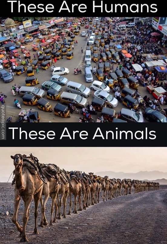 Abolorans Abolorans (@aabolorans) on Twitter photo 