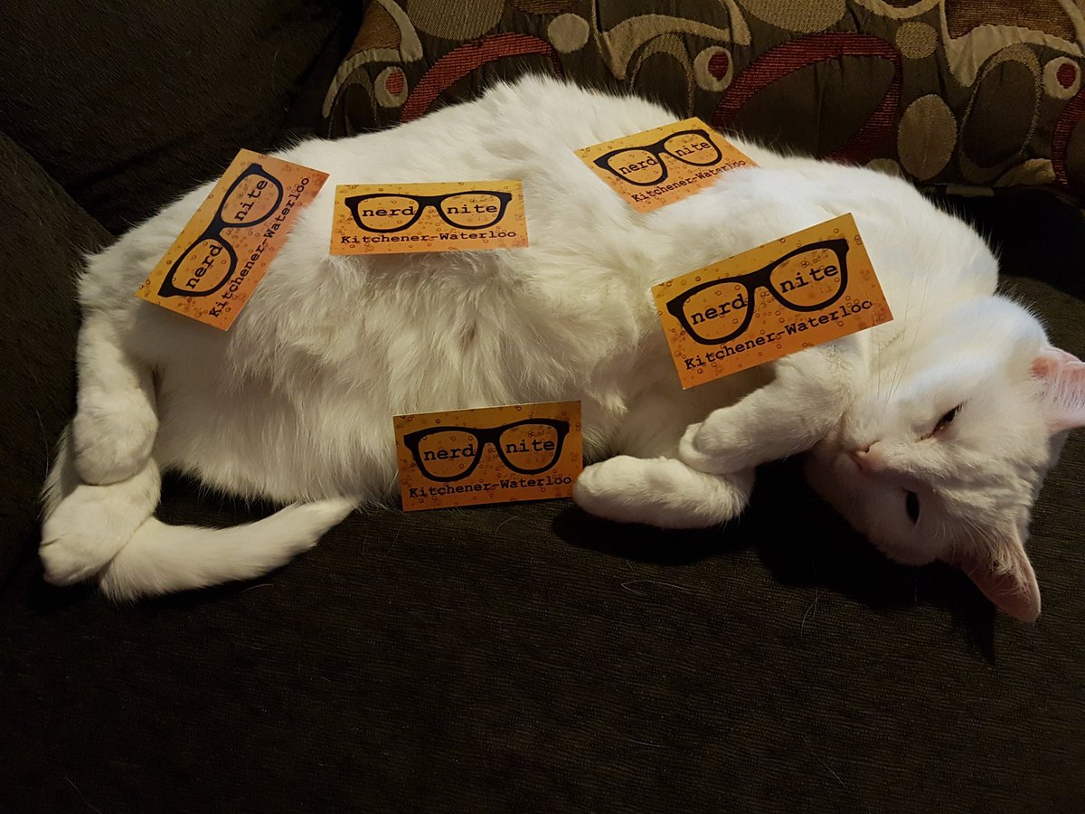 Nerd Nite KW annual memberships are back! A $25 donation gets you a pass to regular shows for a year. Get yours at #nerdfest2017 today!