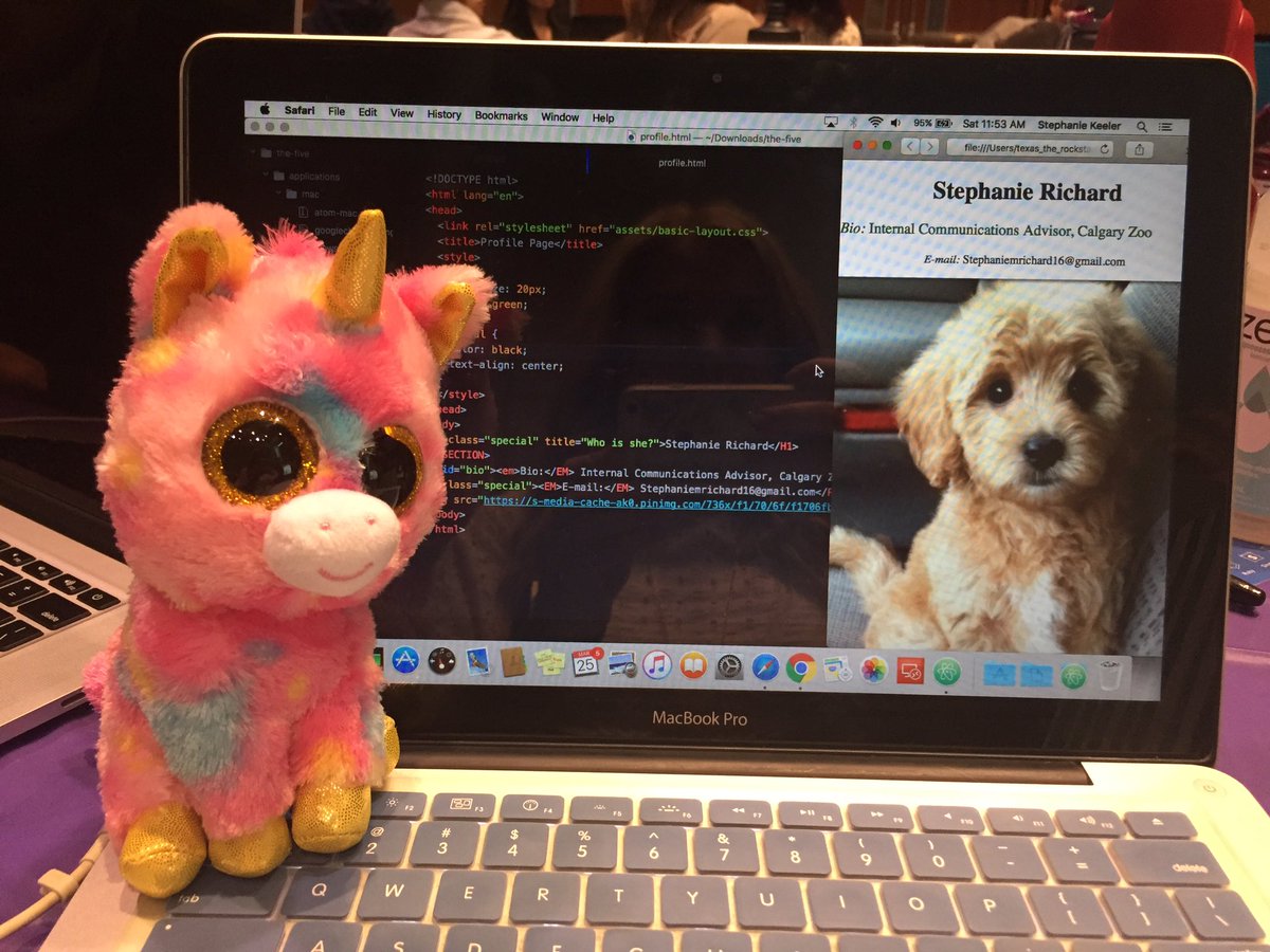 StephanieR_PR's tweet image. Building my webpage with the #🦄 Thanks #tablesponsor @catalystica_ #butwhogetsthisunicorn #HTML150