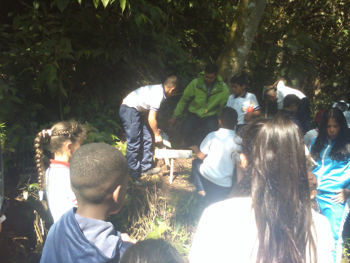 Estudiantes de Inicial y Primaria caminata ecológica ( conociendo nacimiento de un naciente)
recaudoscraj@yahoo.com <a href="/CLIFPJauregui/">CLIFPMV Jáuregui</a>