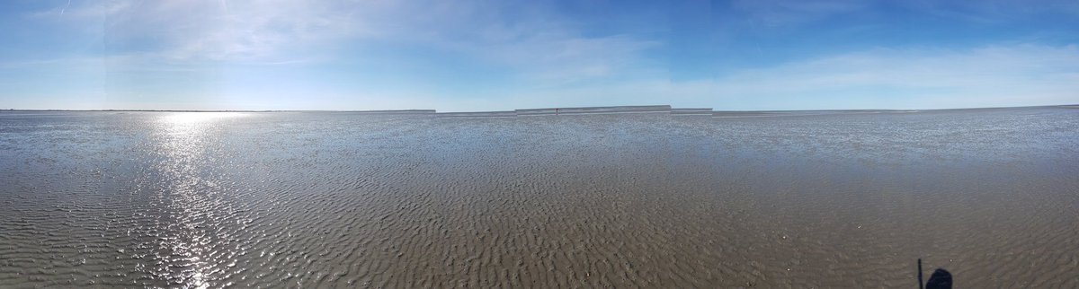 Vandaag was de seizoensopening 2017! Met de eerste verkenning (zwerftocht). #wadlopen #seizoen2017