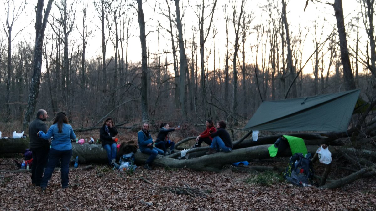 f_lasserre's tweet photo. Repérages #Sortir2017 @graine_idf : #installation #bivouac #apéro #soirée #forêt #EEDD https://t.co/ZBzER6SJBz
