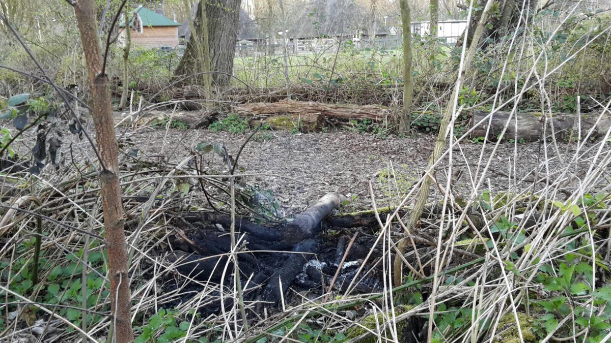 KazMTH's tweet photo. Melding #kralingseweg betrof brandende bbq resten gedumpt in het bos. Geblust en weer #inzetbaar https://t.co/6afm1O0qSd
