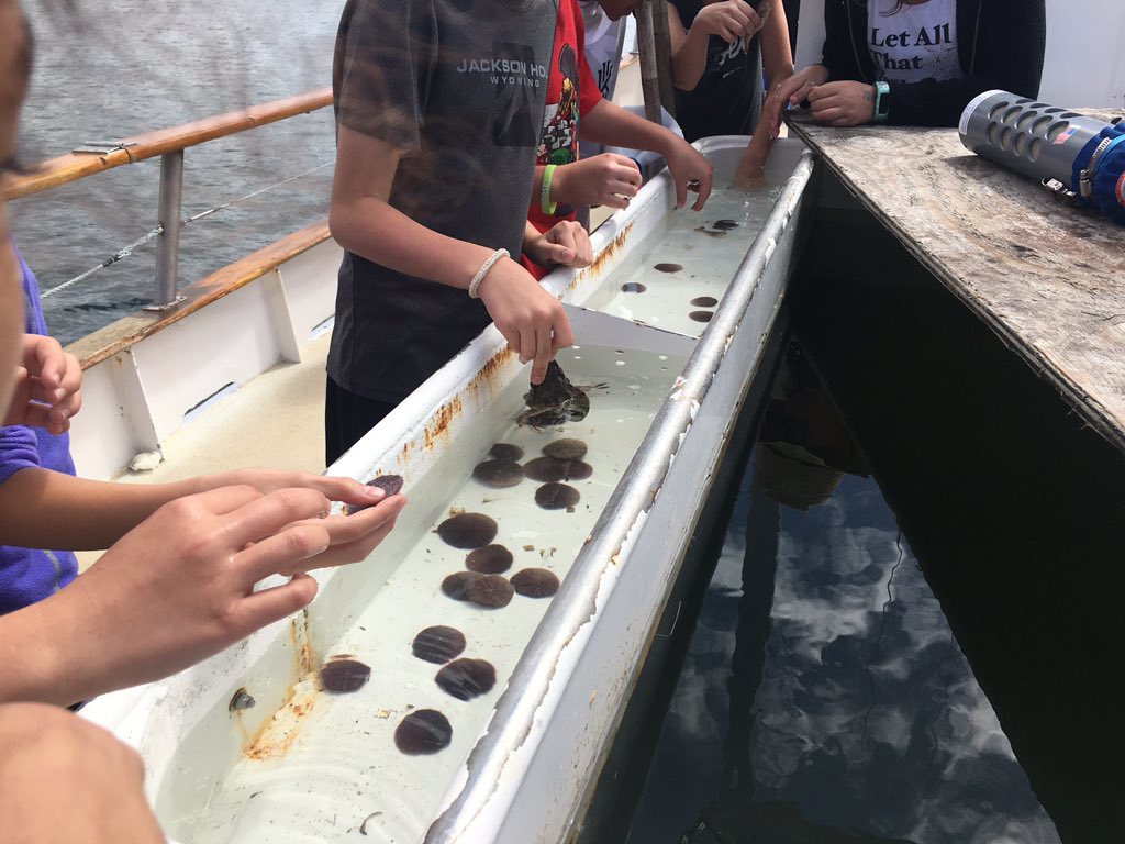 klryan111's tweet photo. Sea Camp 2017- Best classroom ever!! @Givens_ES https://t.co/8XWZqqFoeP