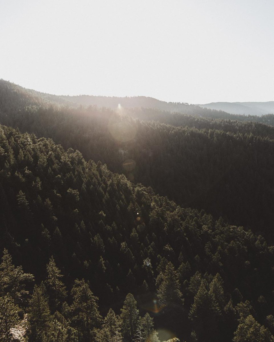 pleuthora's tweet image. 