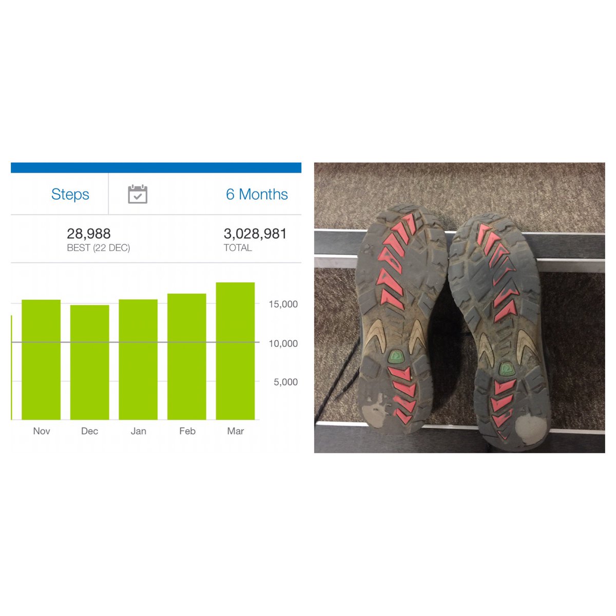 Leedalton1's tweet photo. Farewell my friends. 6 months old to the day, #3millionsteps Your replacements have a lot to live up to! https://t.co/IuWCirex7I