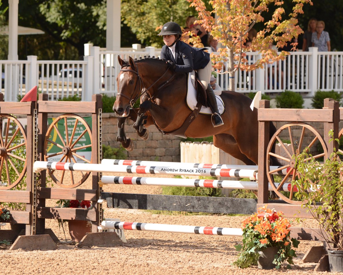 Take me back to pretty ponies jumping pretty fences in the prettiest of facilities😍